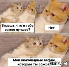 Всем ряженки с вафельками, и спок ночи