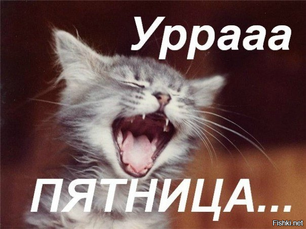 Доброго  утра