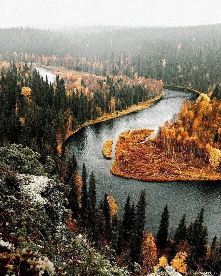 Солянка