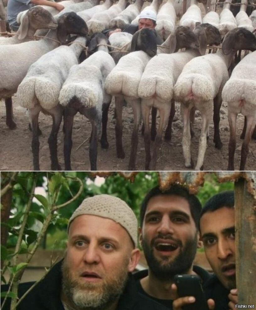 Кастинг 