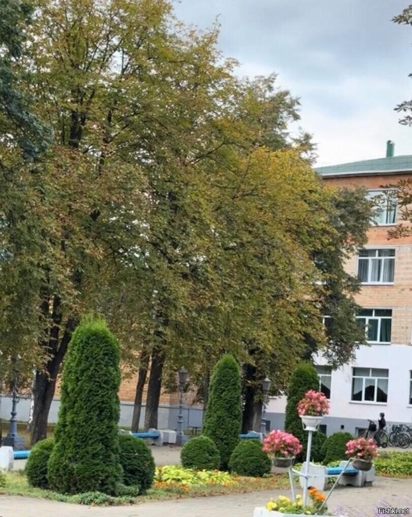 не картошкой единой