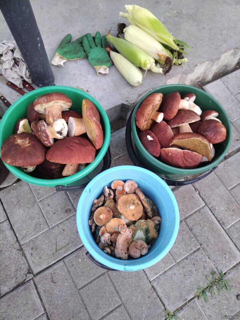 Солянка
