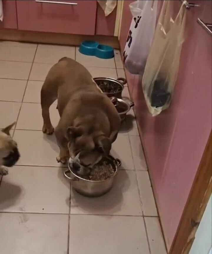 Солянка