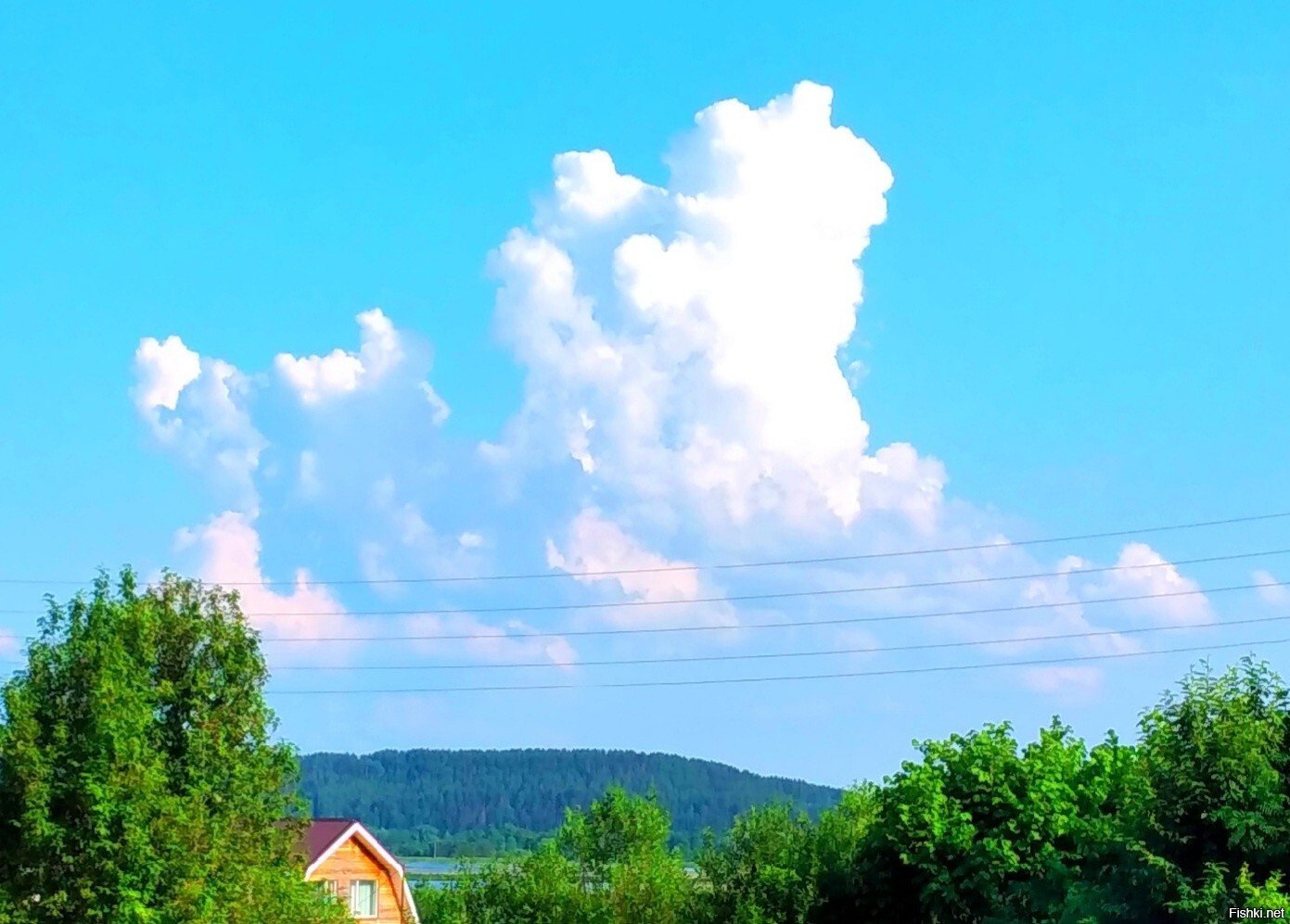 Солянка