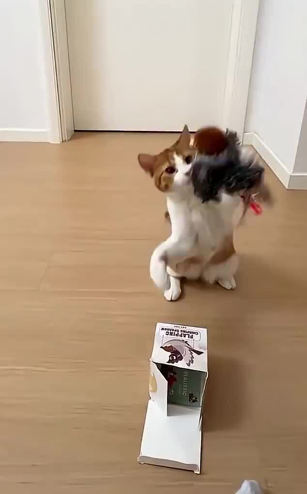 Классная игрушка