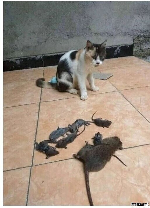 .....окончен бой.