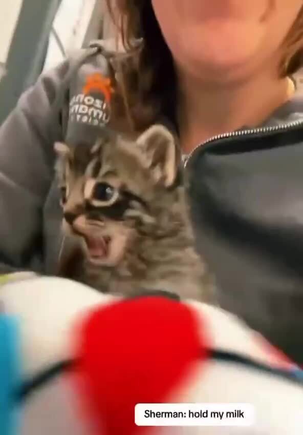 Опасный зверь