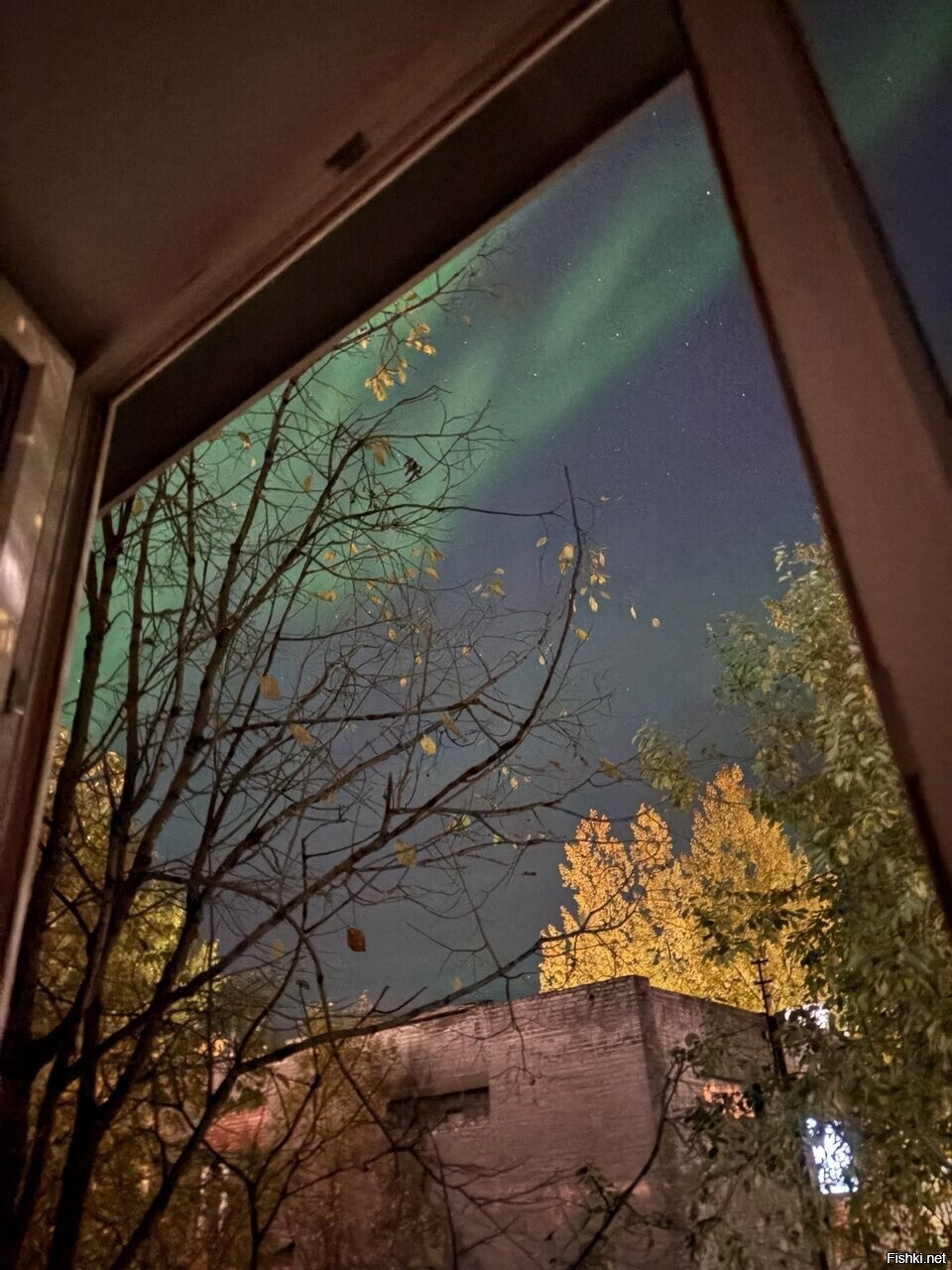 А из нашего окошка вам сияния немножко
