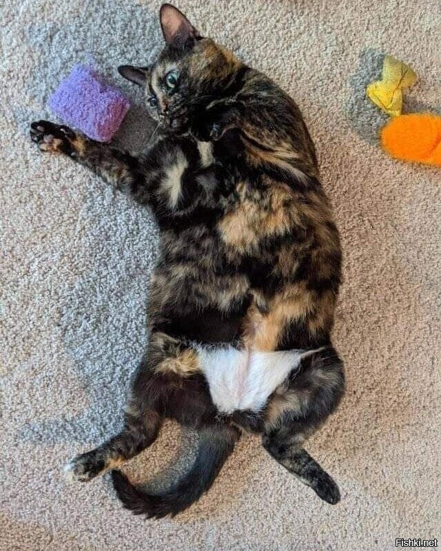 Кто-то родился в рубашке, а кто-то в труселях