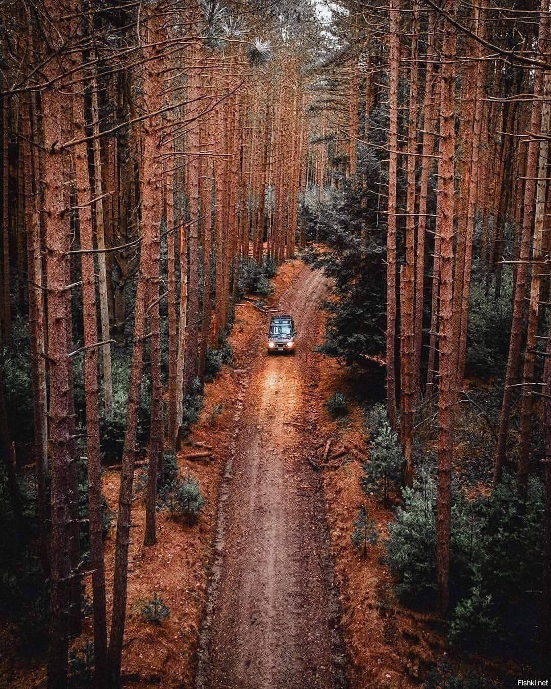 Солянка