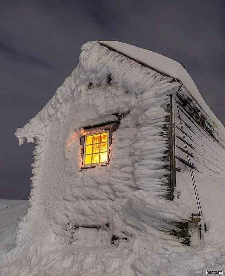 Солянка