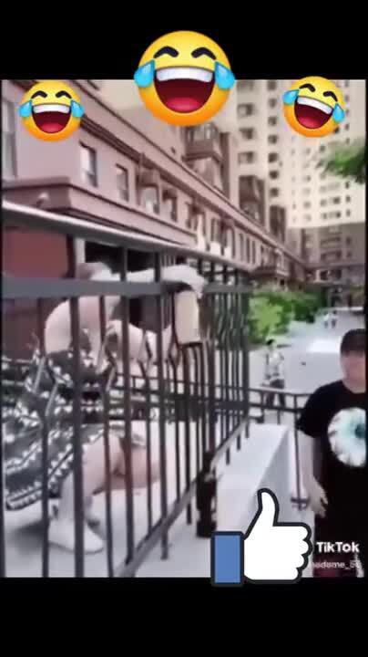 Помог