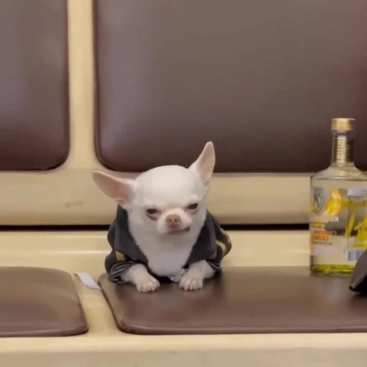 Доброе утро