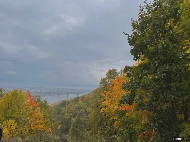 Октябрь уж наступил — уж роща отряхает