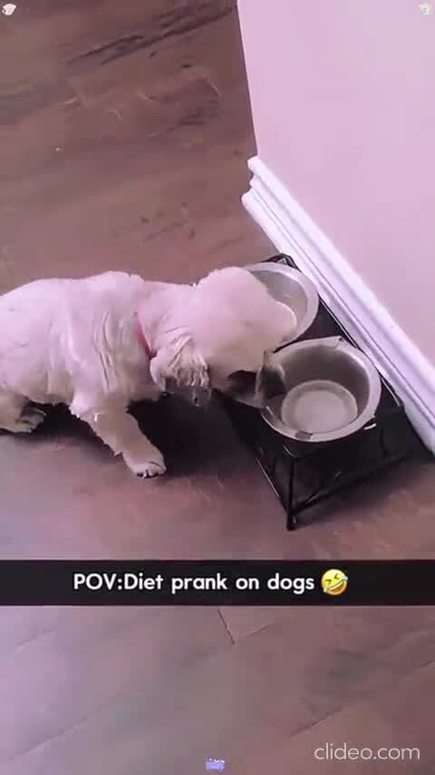 Мелкие - злые