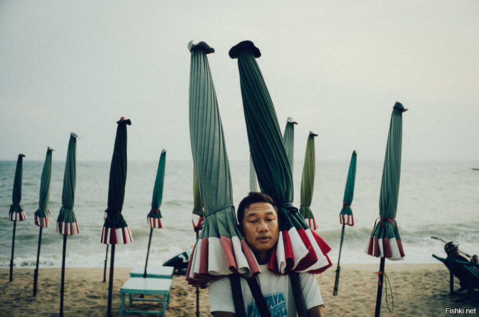 Вот и лето прошло, словно и не бывало