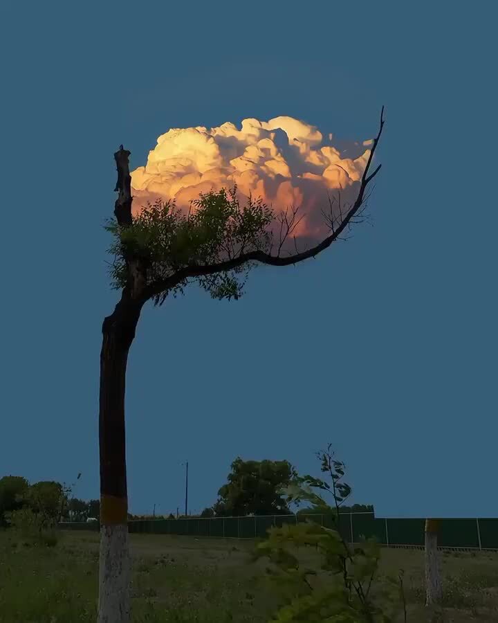 Облако подстроилось для идеального ракурса