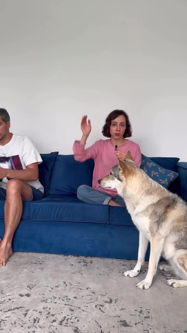 Это все влияние видео-игр