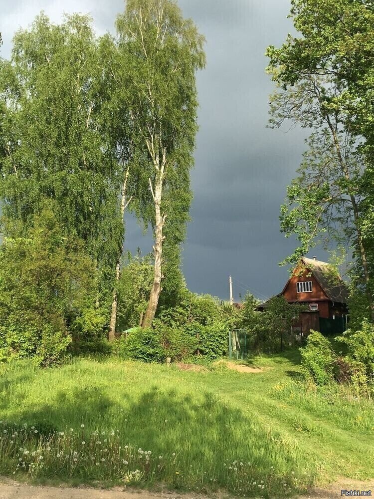 Солянка