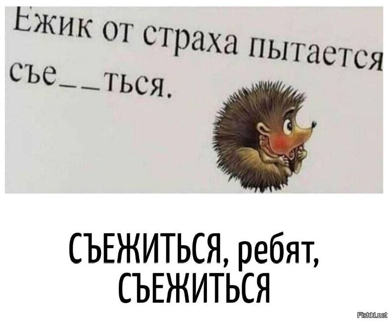 Солянка