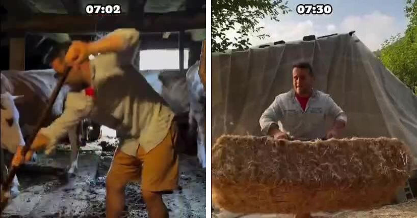 Обычный день фермера в деревне