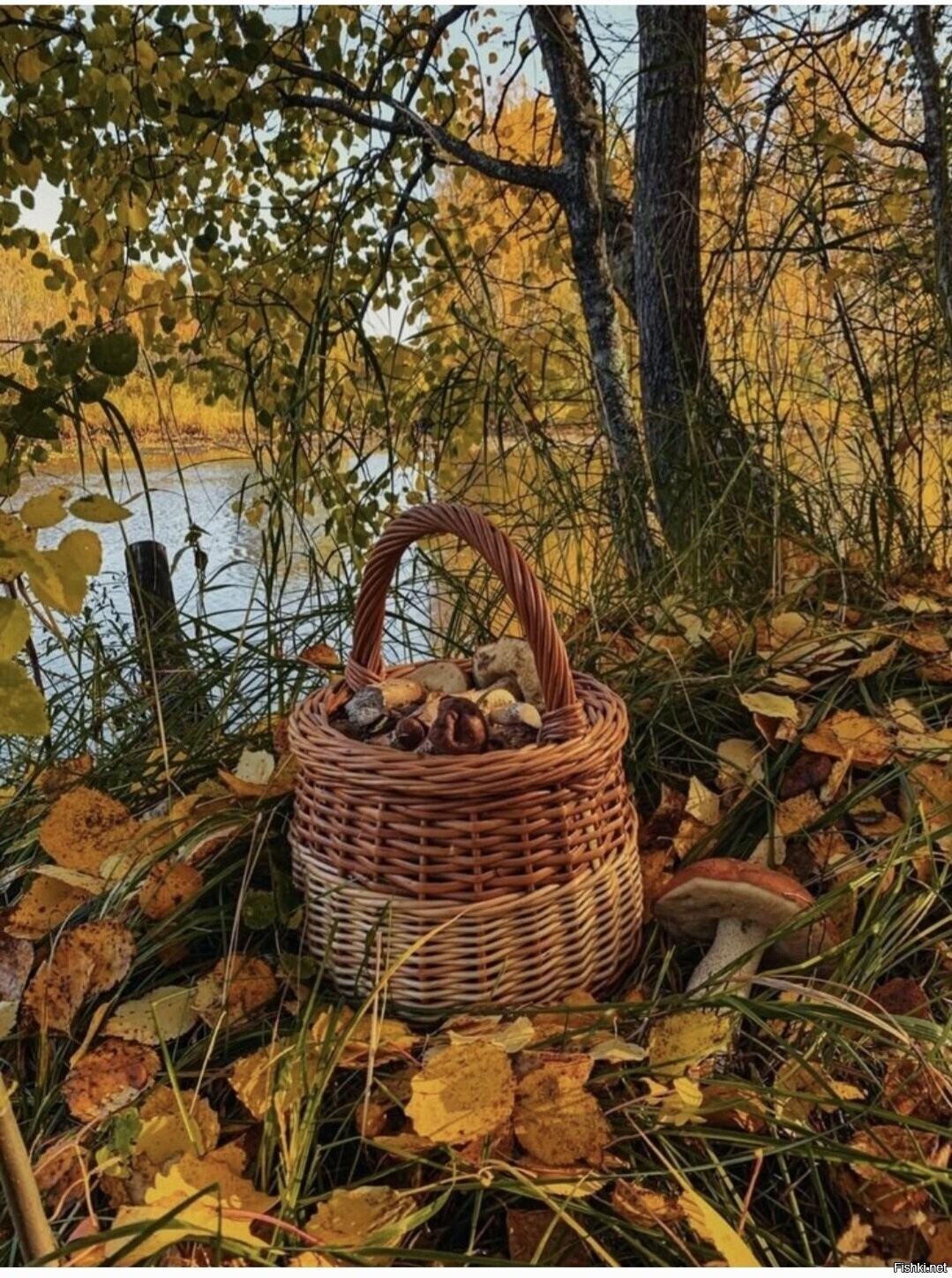 Солянка
