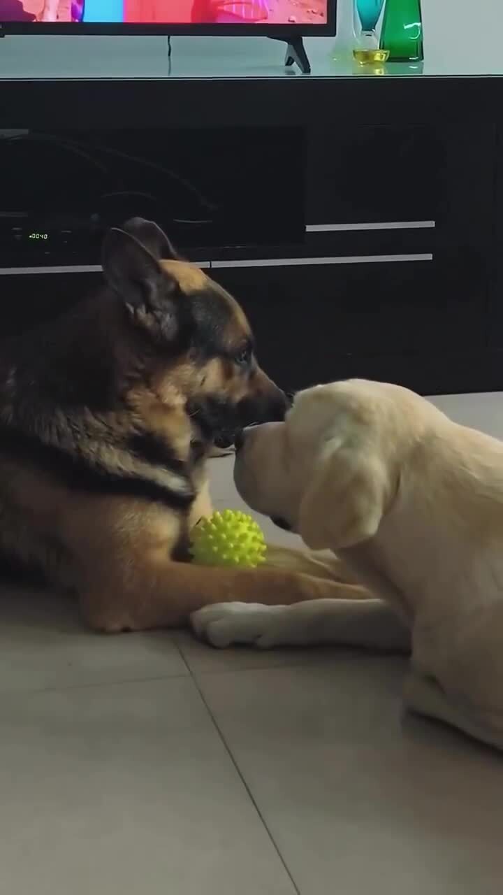 Игра в долгую