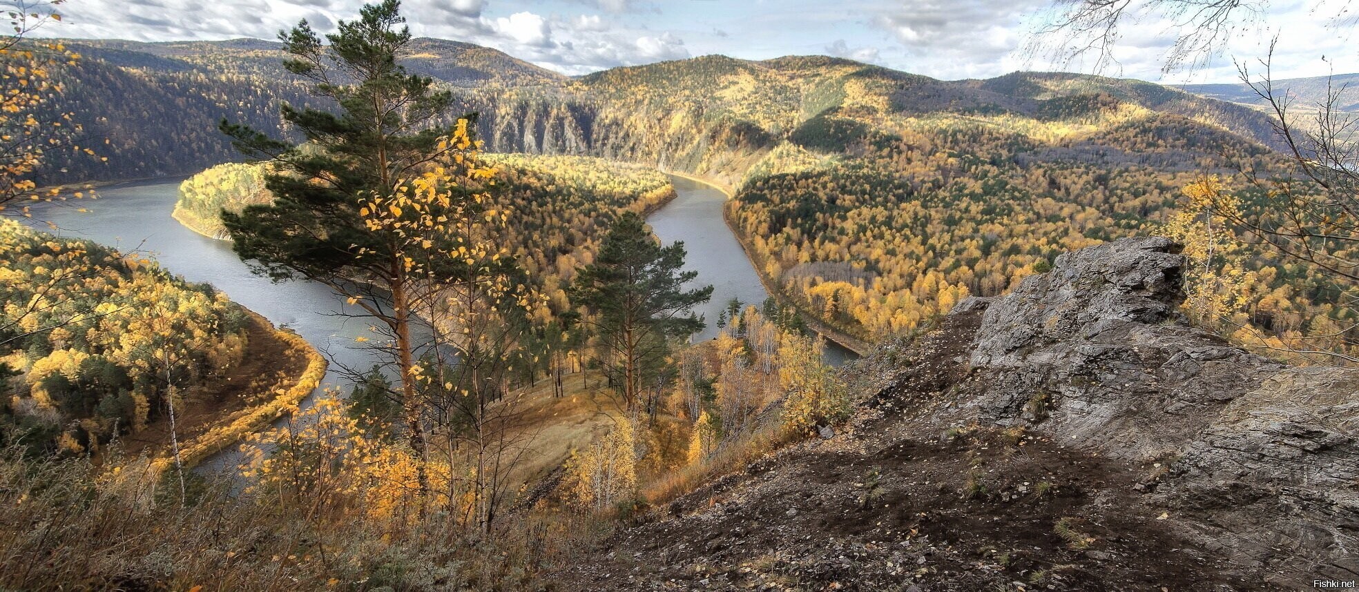 Солянка