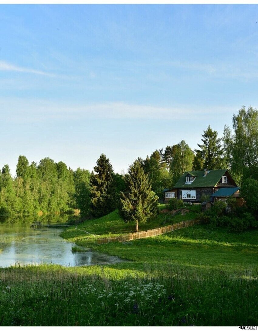 Солянка