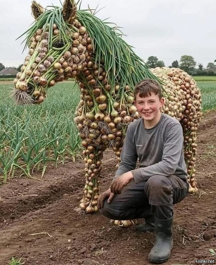 Солянка