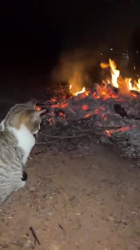 Сначала они говорят, что у мужчин нет нервного срыва и выгорания