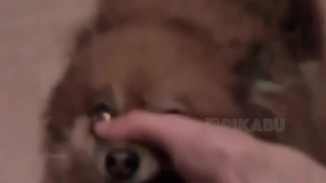 Нашёл кучу баянов на старом телефоне