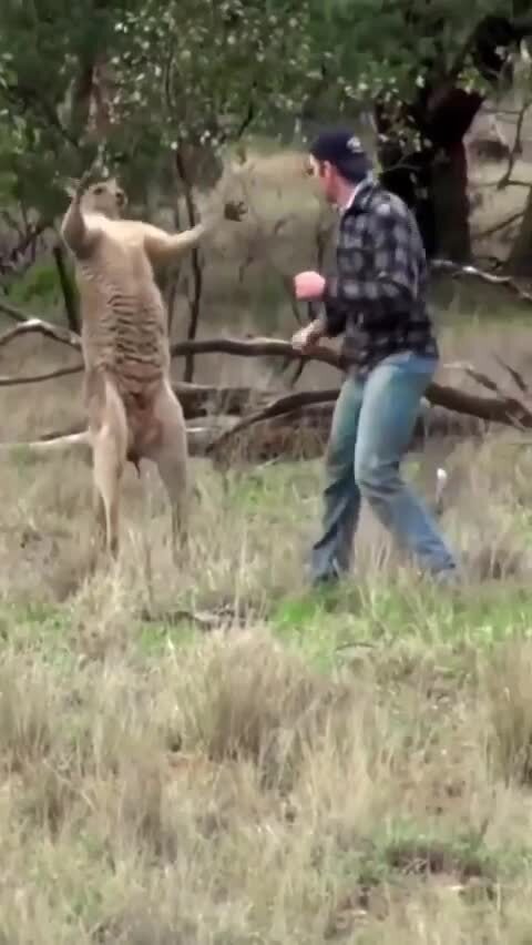 Спас от гопника