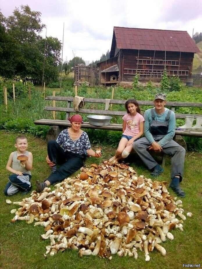 Солянка