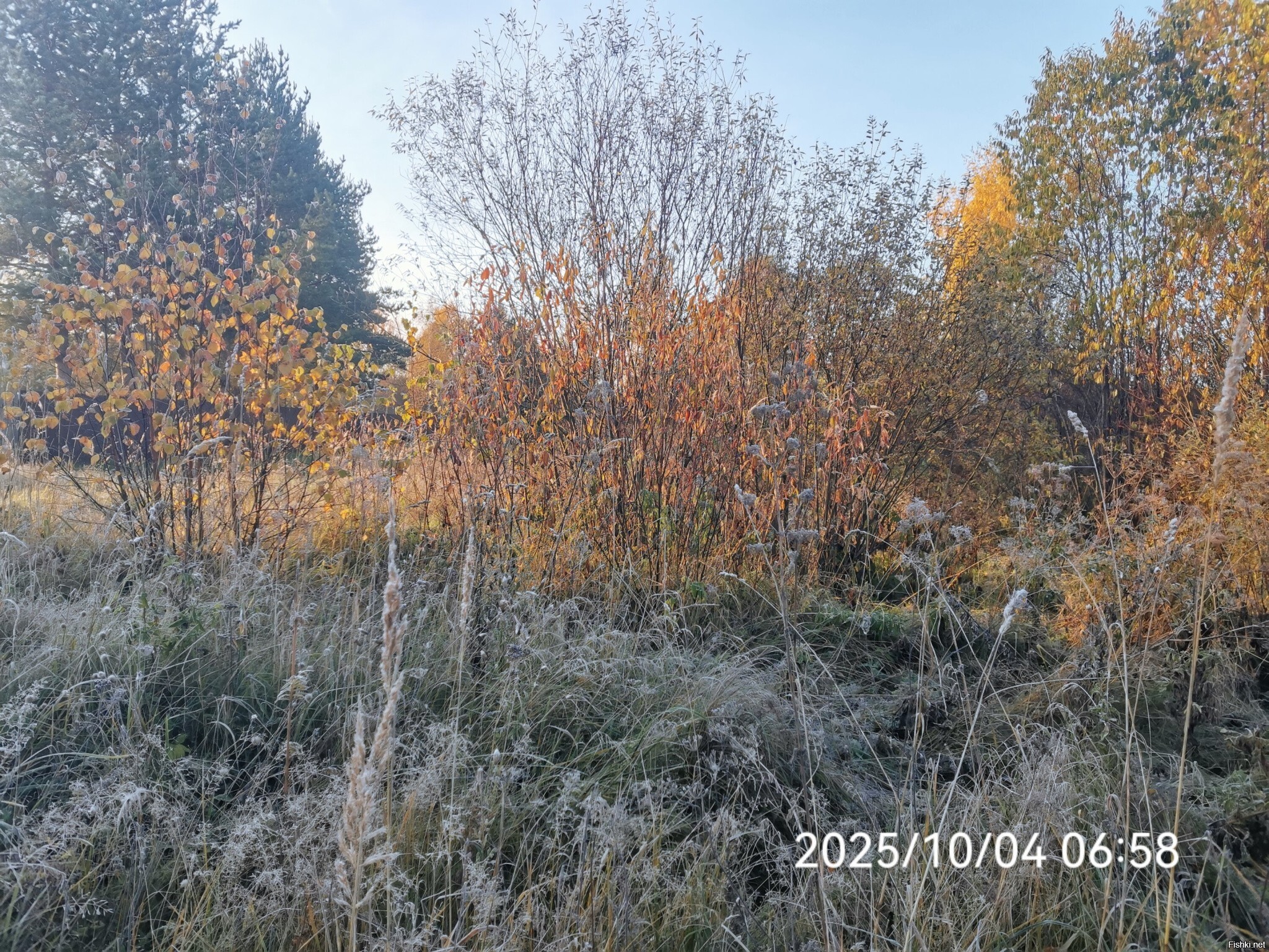 С добрым утром) 