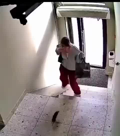 Не вывезла схватку с крысой