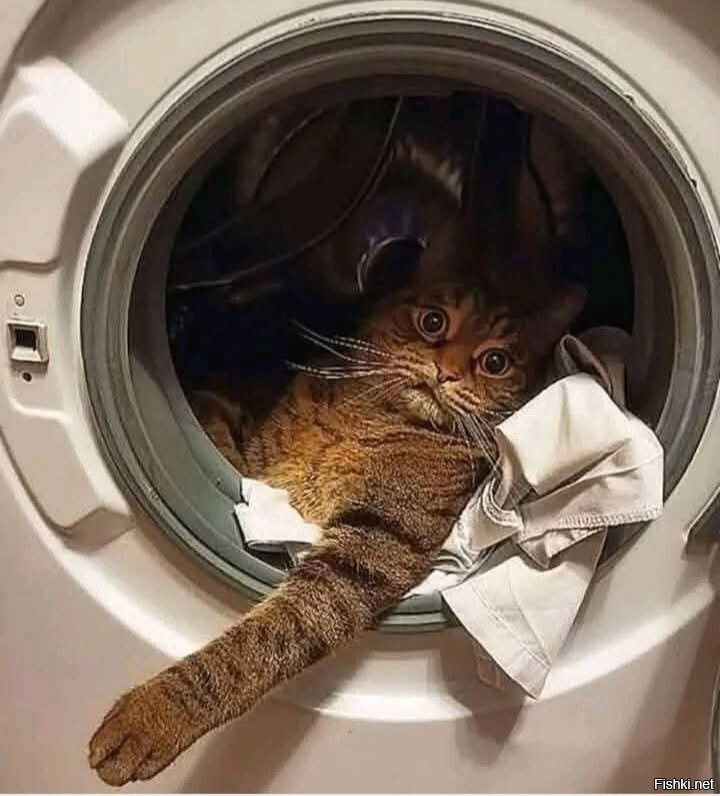 Космонавт готов