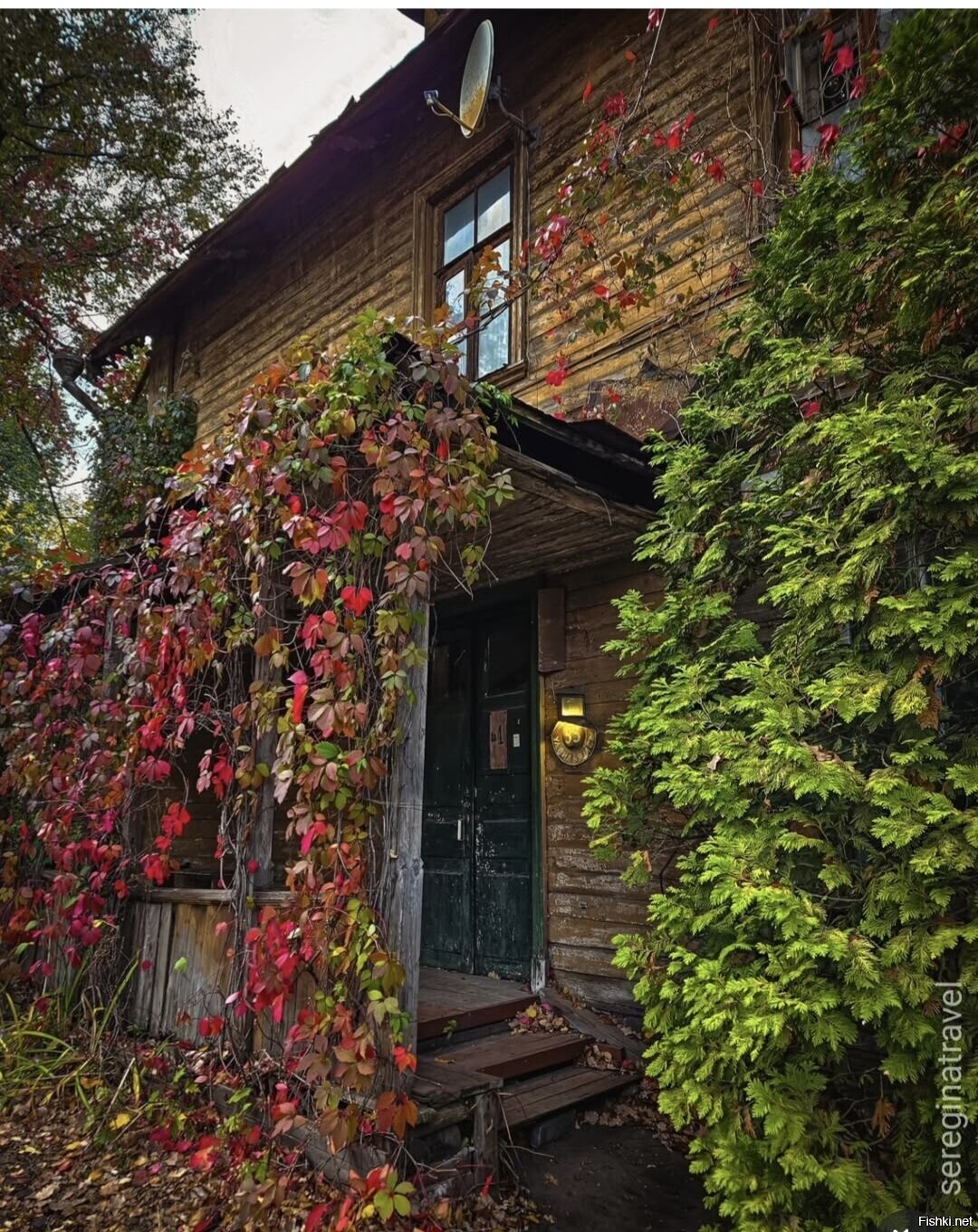 Солянка