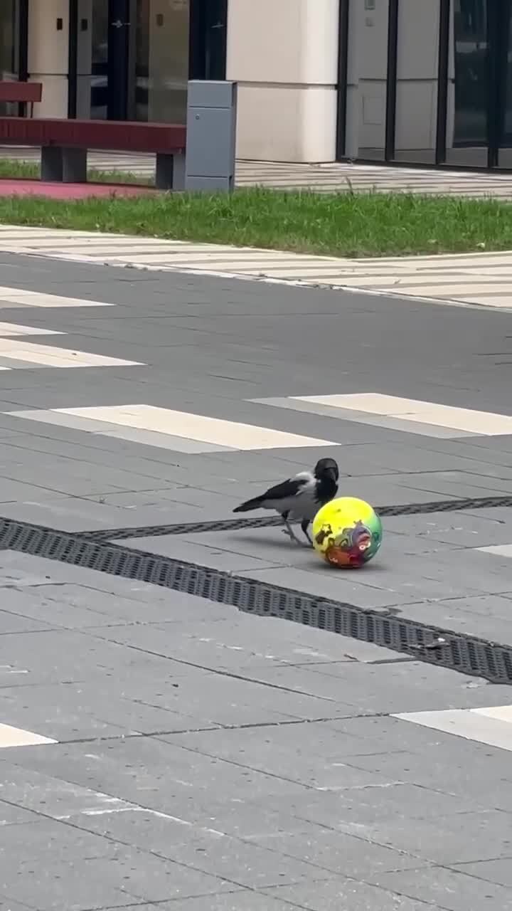 Спортивное настроение)