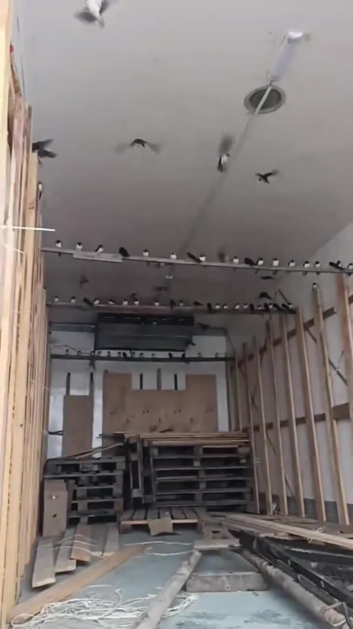 Чё теперь нам делать