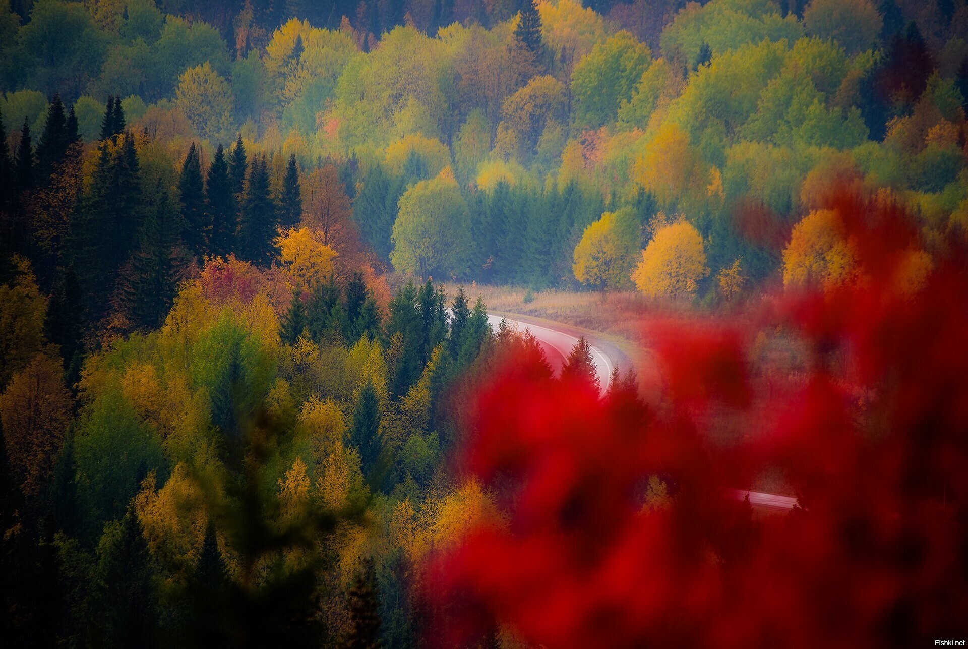 Солянка