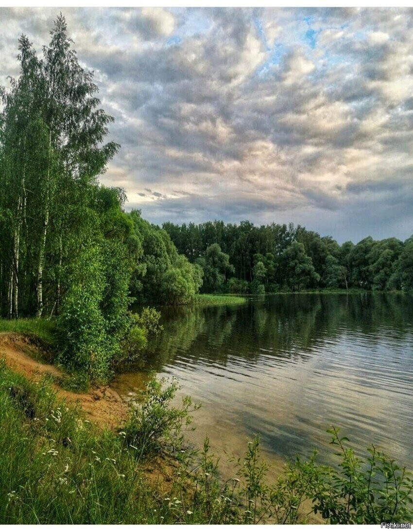 Солянка