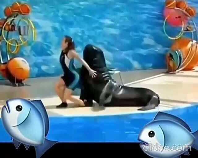 Доброе утро