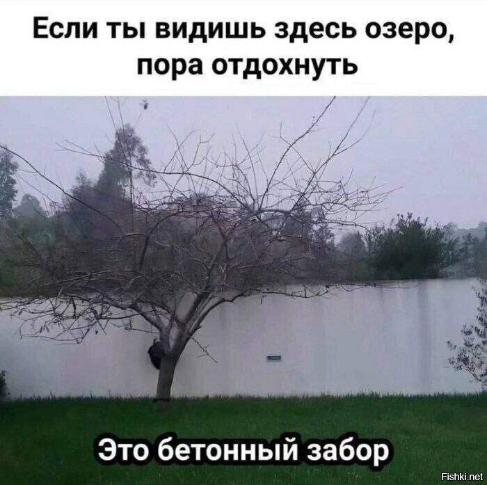 Забор я так и не увидел 