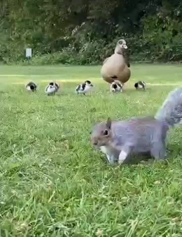 Когда все сразу хотят принять участие