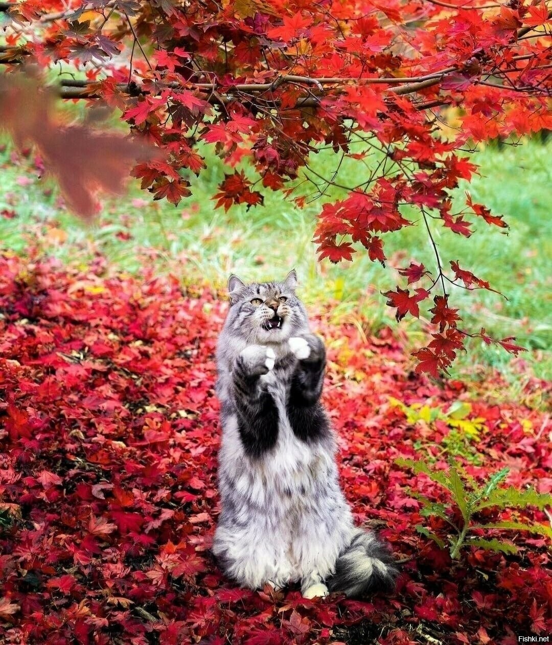 С понедельничком