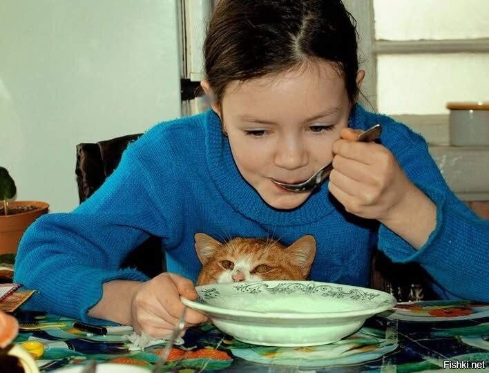 Солянка