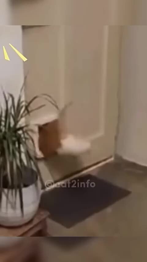 Перекормили )))