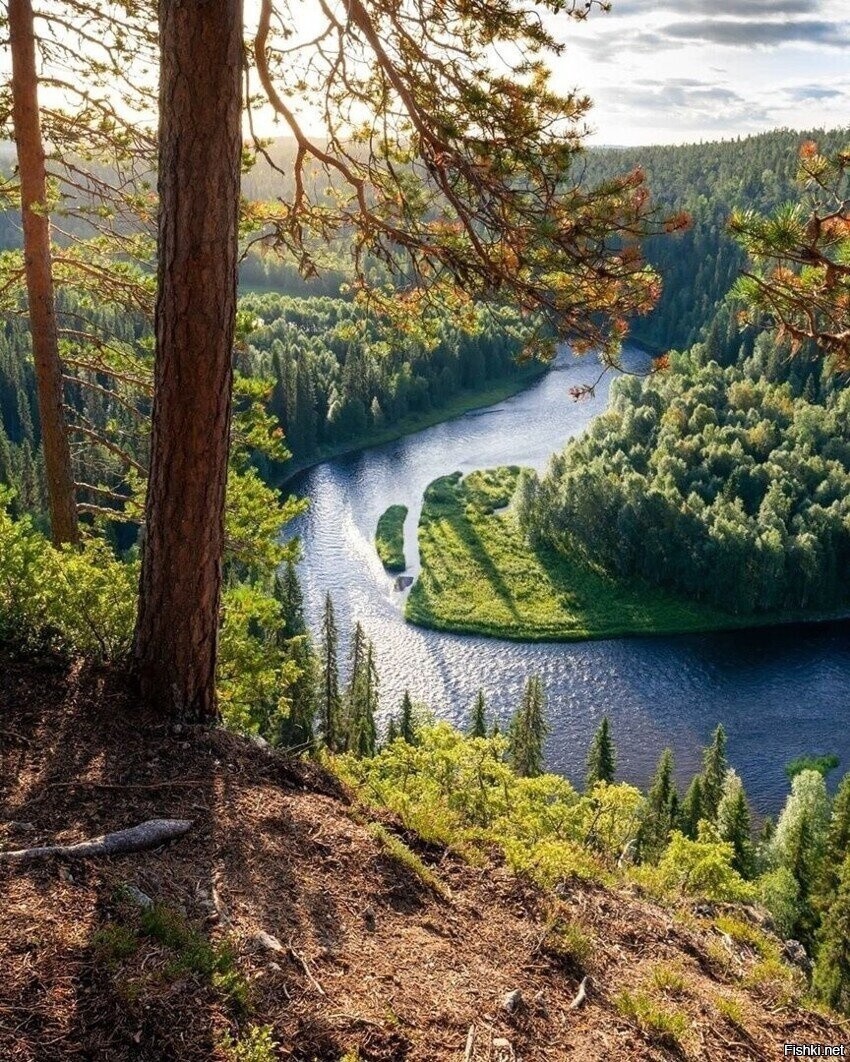 Солянка