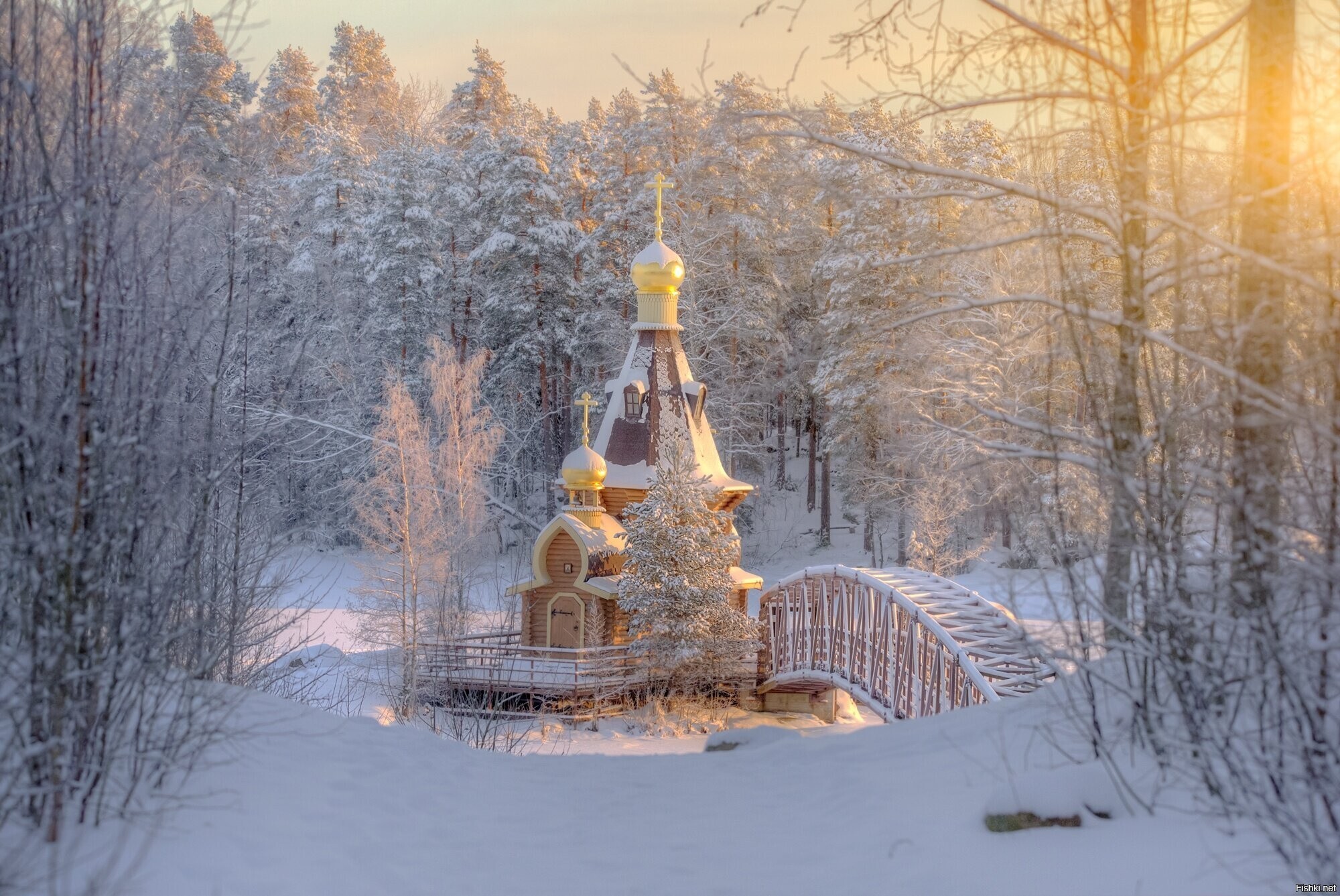 Солянка
